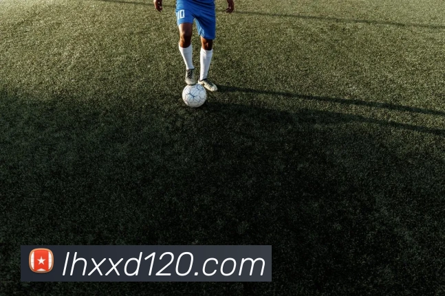 平台展示图